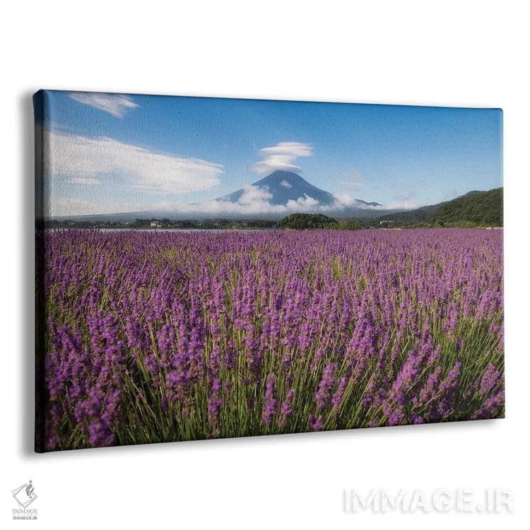 تابلو تابستان در ژاپن بیست و دوم اثر دایسوکه اوئهماتسو - نمای پرسپکتیو محصول