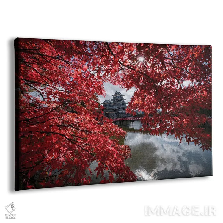 تابلو قلعه ماتسوموتو هفدهم (ژاپن) اثر دایسوکه اوئهماتسو - نمای پرسپکتیو محصول