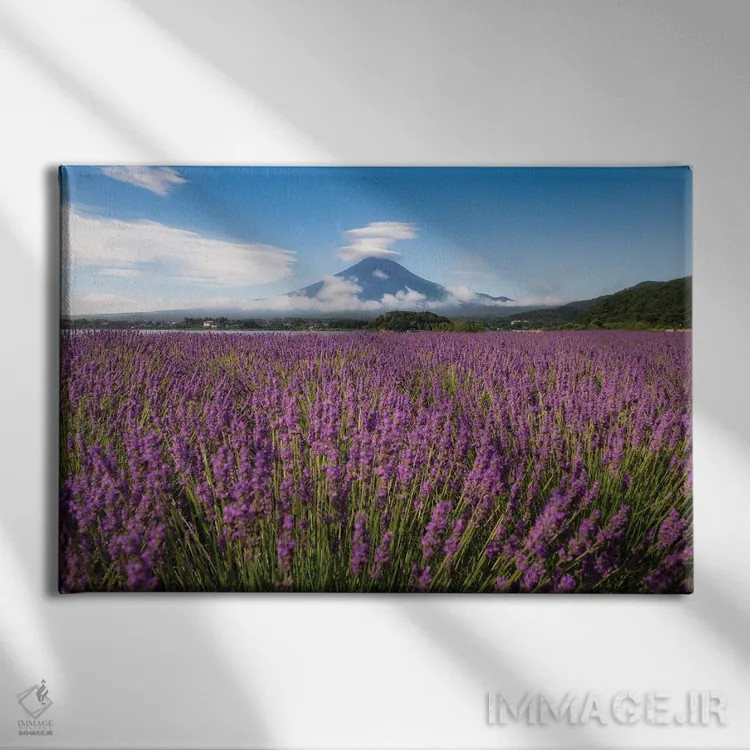 تابلو تابستان در ژاپن بیست و دوم اثر دایسوکه اوئهماتسو - نمای روبهرو روی دیوار