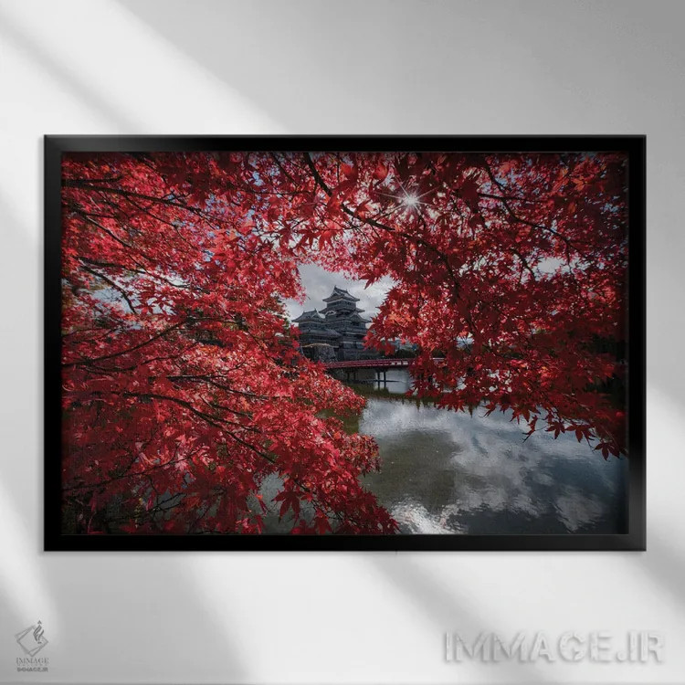 تابلو قلعه ماتسوموتو هفدهم (ژاپن) اثر دایسوکه اوئهماتسو - نمای قابدار مشکی