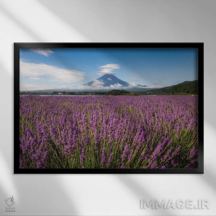 تابلو تابستان در ژاپن بیست و دوم اثر دایسوکه اوئهماتسو - نمای قابدار مشکی