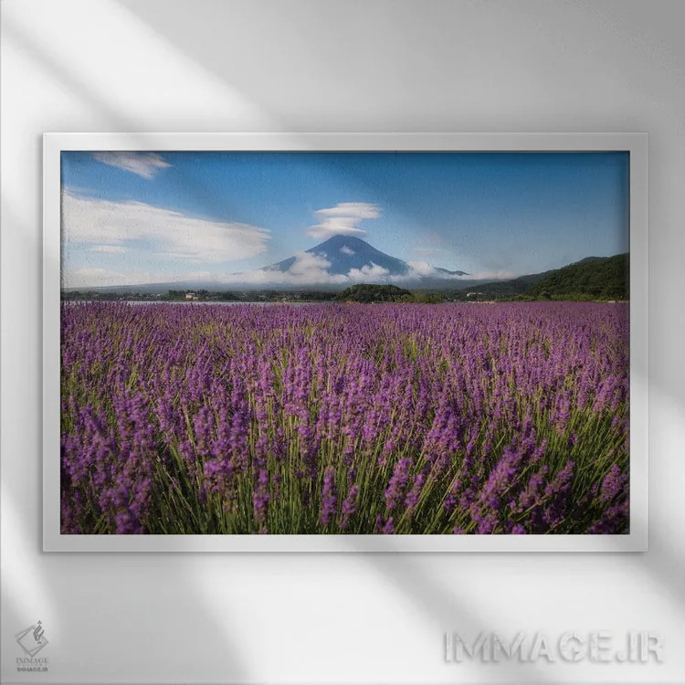 تابلو تابستان در ژاپن بیست و دوم اثر دایسوکه اوئهماتسو - نمای قابدار سفید