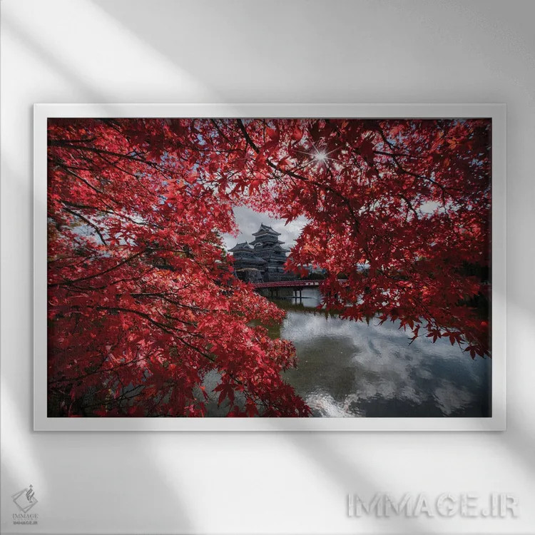 تابلو قلعه ماتسوموتو هفدهم (ژاپن) اثر دایسوکه اوئهماتسو - نمای قابدار سفید