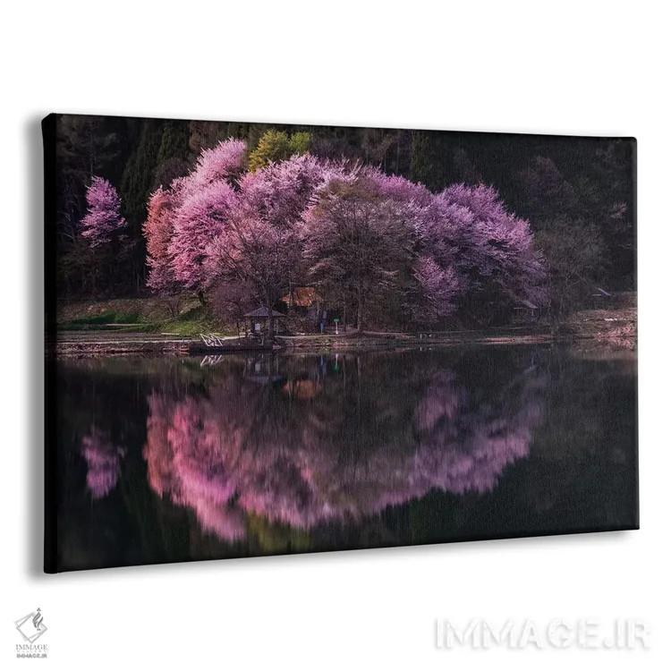 تابلو بهار در ژاپن یازده اثر دایسوکه اوئهماتسو - نمای پرسپکتیو محصول