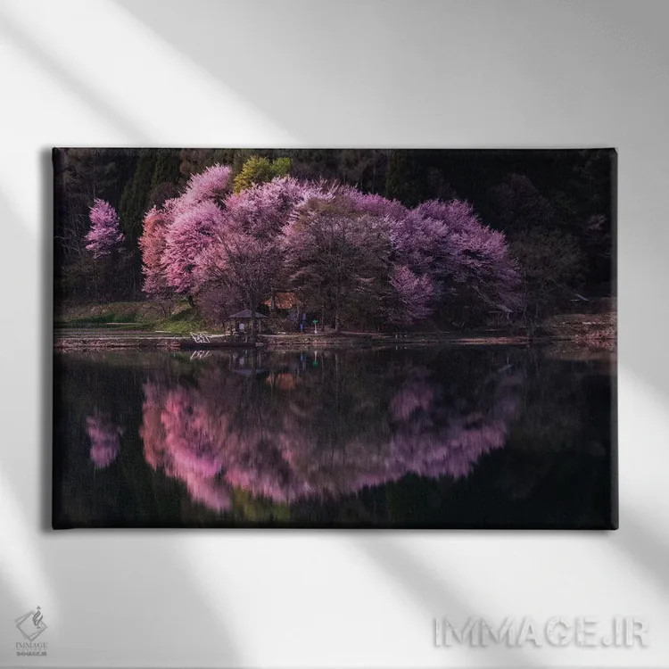 تابلو بهار در ژاپن یازده اثر دایسوکه اوئهماتسو - نمای روبهرو روی دیوار