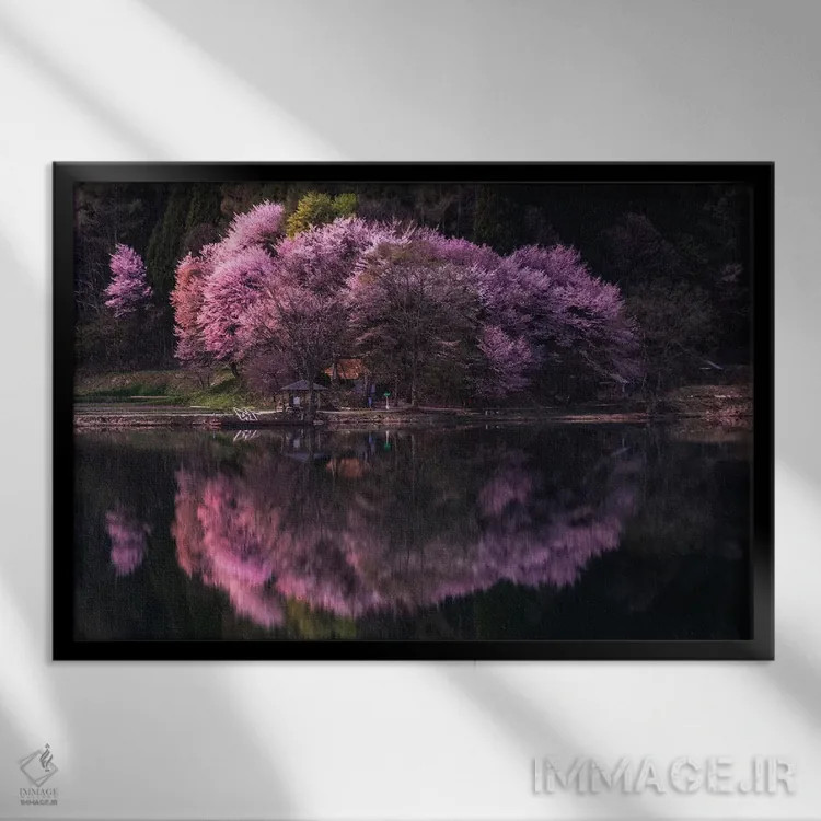 تابلو بهار در ژاپن یازده اثر دایسوکه اوئهماتسو - نمای قابدار مشکی