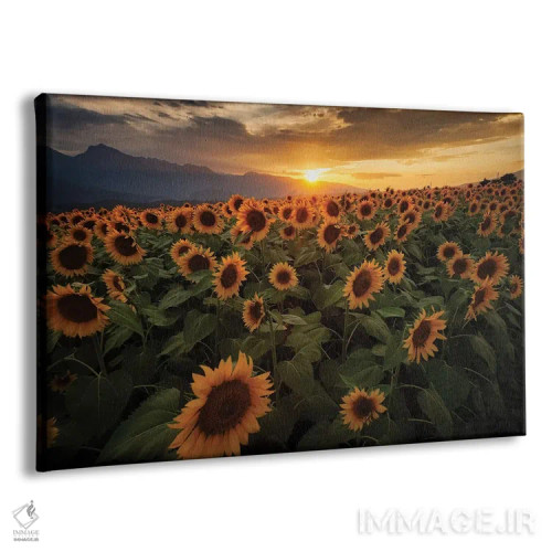 تابلو تابستان در ژاپن شش اثر دایسوکه اوئهماتسو - نمای پرسپکتیو محصول