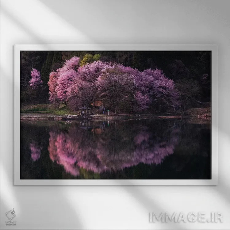 تابلو بهار در ژاپن یازده اثر دایسوکه اوئهماتسو - نمای قابدار سفید