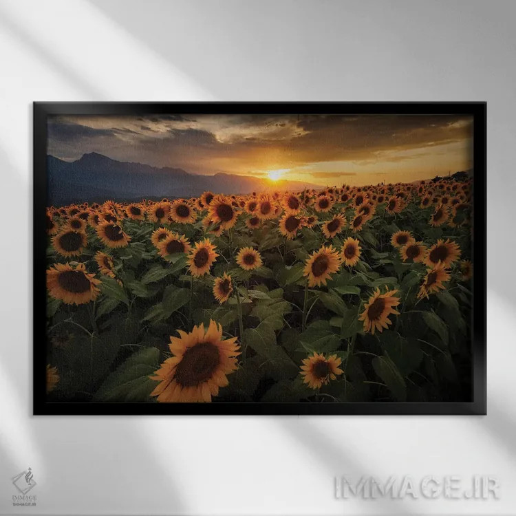 تابلو تابستان در ژاپن شش اثر دایسوکه اوئهماتسو - نمای قابدار مشکی