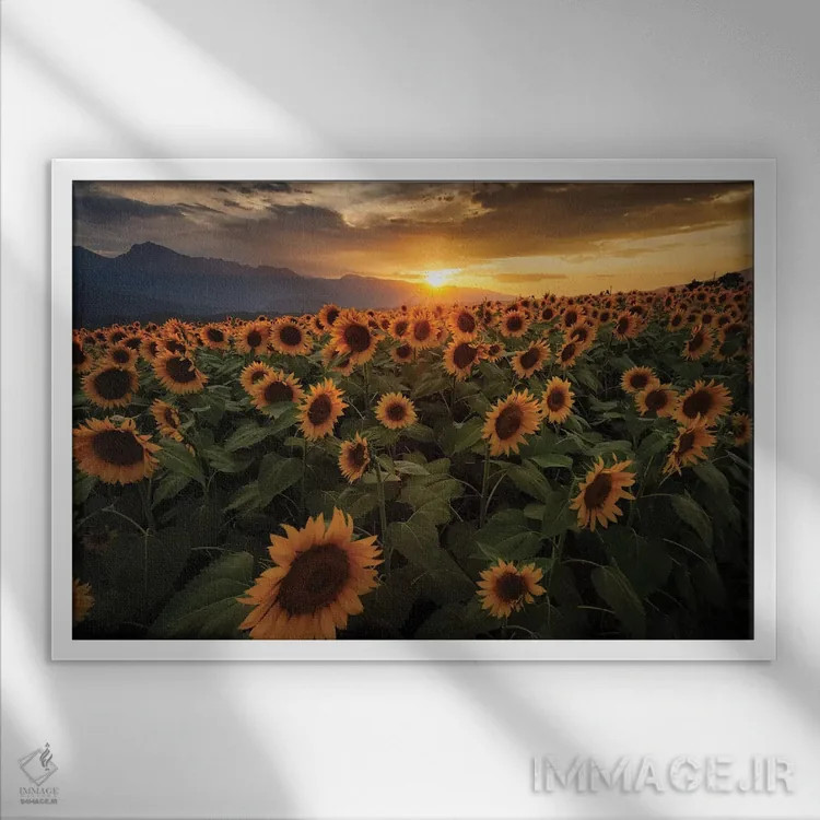 تابلو تابستان در ژاپن شش اثر دایسوکه اوئهماتسو - نمای قابدار سفید