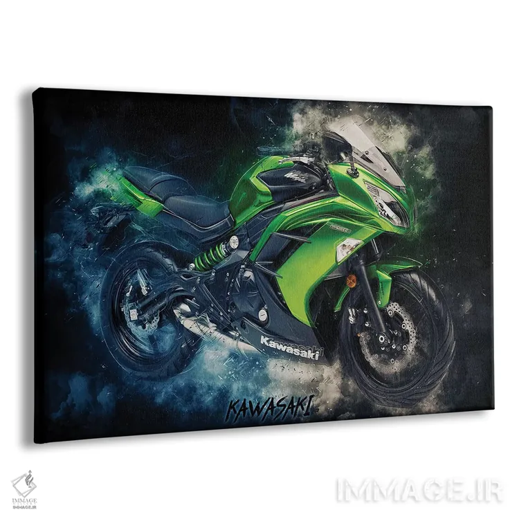 تابلو کاوازاکی نینجا سبز اثر دورو آرت (استودیو هنری) - نمای پرسپکتیو محصول