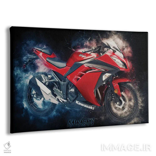 تابلو کاوازاکی نینجا (موتورسیکلت) اثر دورو آرت (استودیو هنری) - نمای پرسپکتیو محصول
