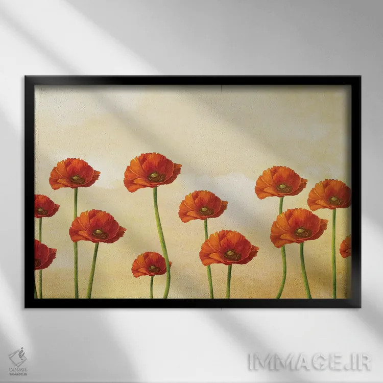 تابلو جایی که شقایقها میشکفد اثر دیوگو وریسیمو - نمای قابدار مشکی