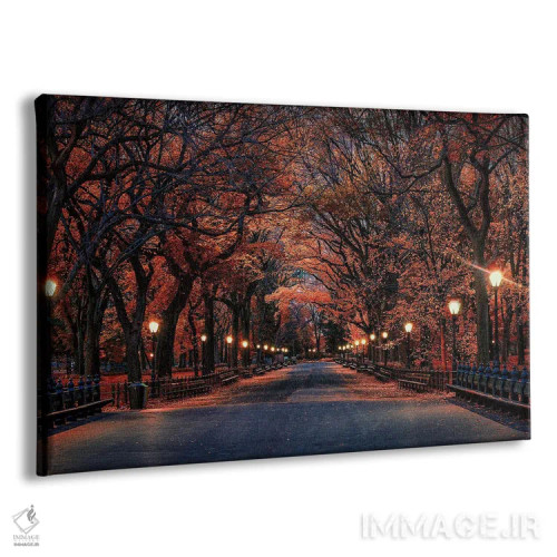 تابلو پاییز پارک مرکزی اثر دیوید گارباورر - نمای پرسپکتیو محصول