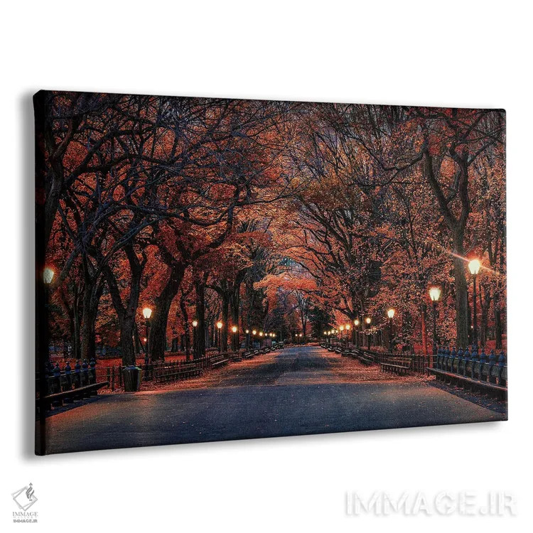 تابلو پاییز پارک مرکزی اثر دیوید گارباورر - نمای پرسپکتیو محصول