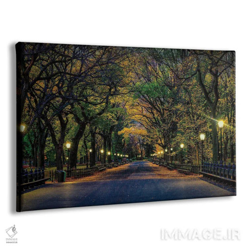 تابلو جادوی پارک مرکزی اثر دیوید گارباورر - نمای پرسپکتیو محصول