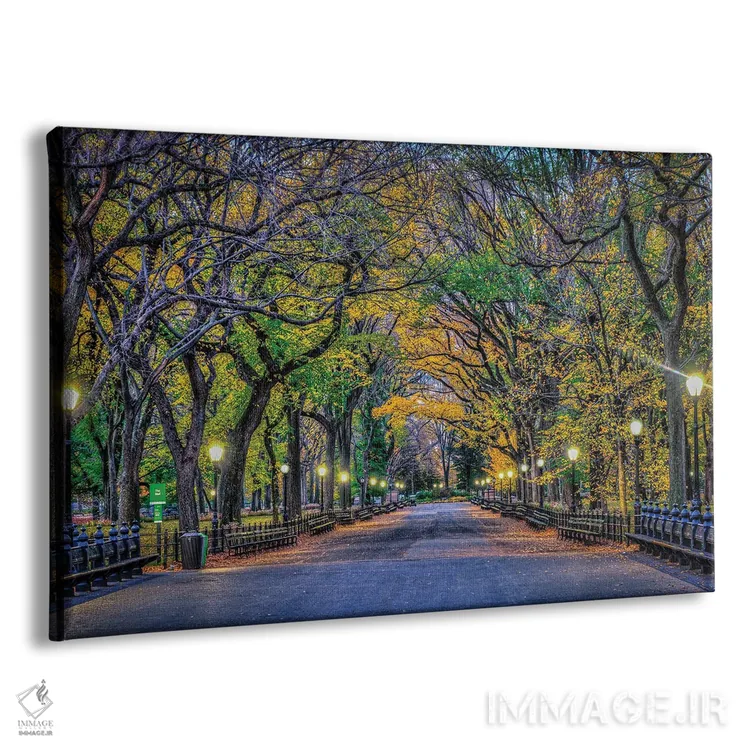 تابلو شب پارک مرکزی اثر دیوید گارباورر - نمای پرسپکتیو محصول