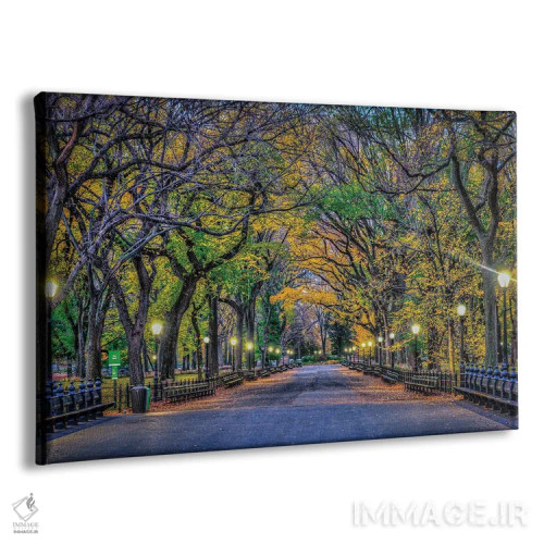 تابلو شب پارک مرکزی اثر دیوید گارباورر - نمای پرسپکتیو محصول