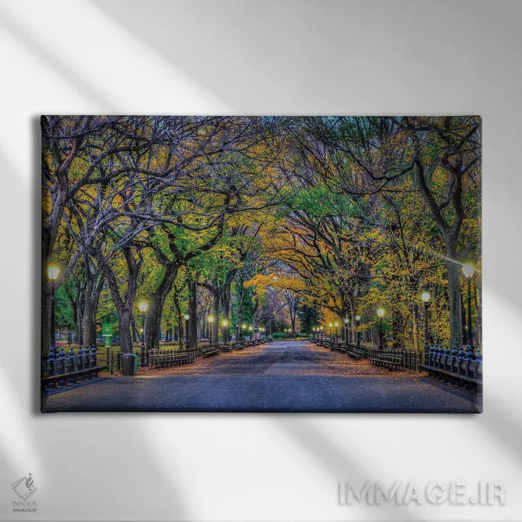 تابلو شب پارک مرکزی اثر دیوید گارباورر - نمای روبهرو روی دیوار