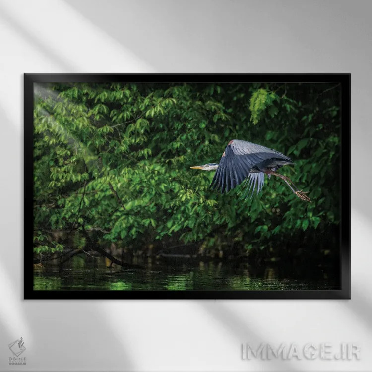 تابلو آبی بزرگ در سبز اثر دیوید گارباورر - نمای قابدار مشکی