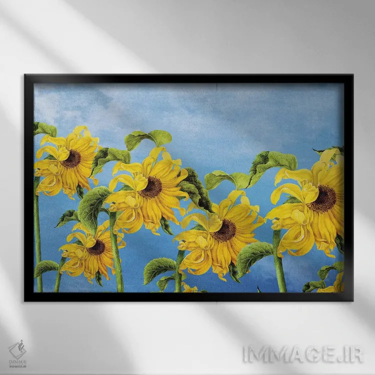 تابلو جایی که آفتابگردان میروید اثر دیوگو وریسیمو - نمای قابدار مشکی