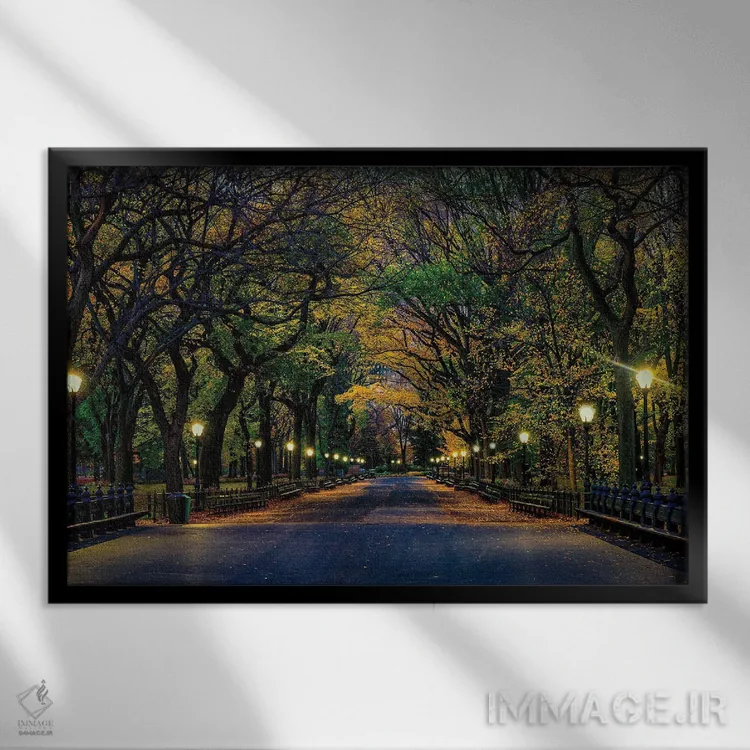 تابلو جادوی پارک مرکزی اثر دیوید گارباورر - نمای قابدار مشکی