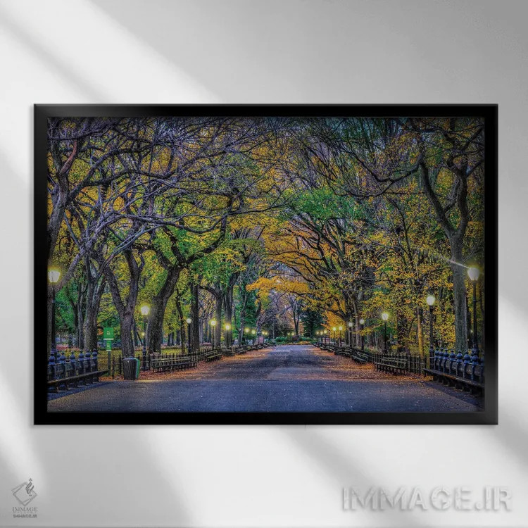 تابلو شب پارک مرکزی اثر دیوید گارباورر - نمای قابدار مشکی