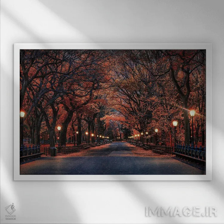 تابلو پاییز پارک مرکزی اثر دیوید گارباورر - نمای قابدار سفید