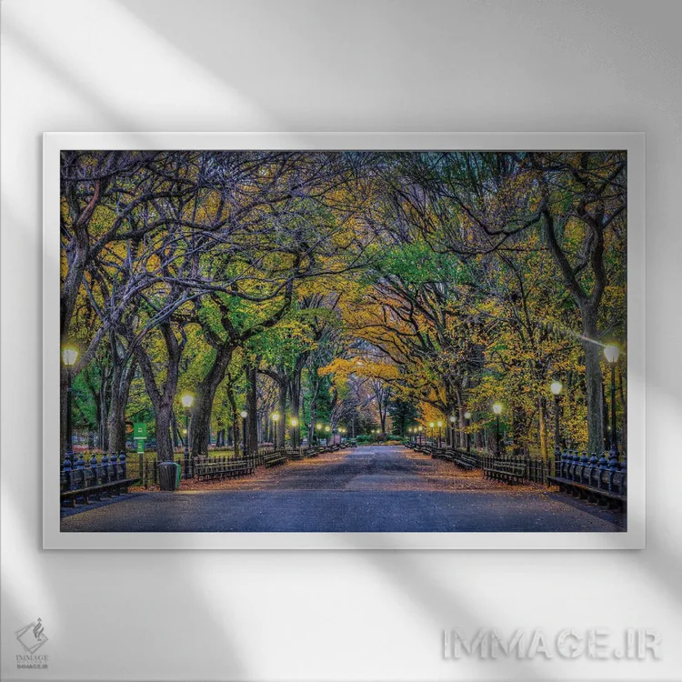 تابلو شب پارک مرکزی اثر دیوید گارباورر - نمای قابدار سفید