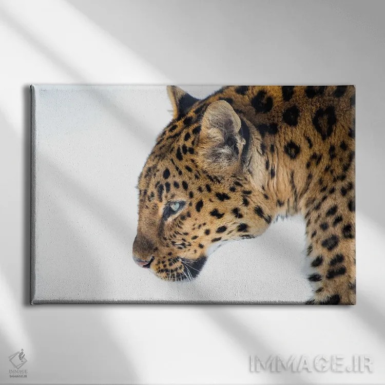 تابلو گربه بزرگ (سیاه و سفید) اثر دیوید گارباورر - نمای روبهرو روی دیوار