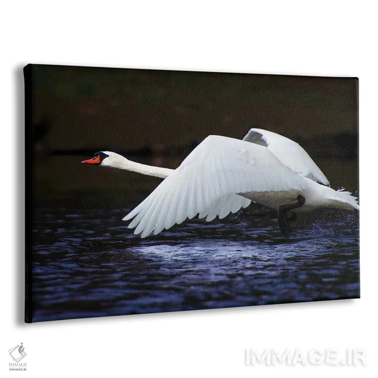 تابلو پرواز آبی اثر دیوید گارباورر - نمای پرسپکتیو محصول