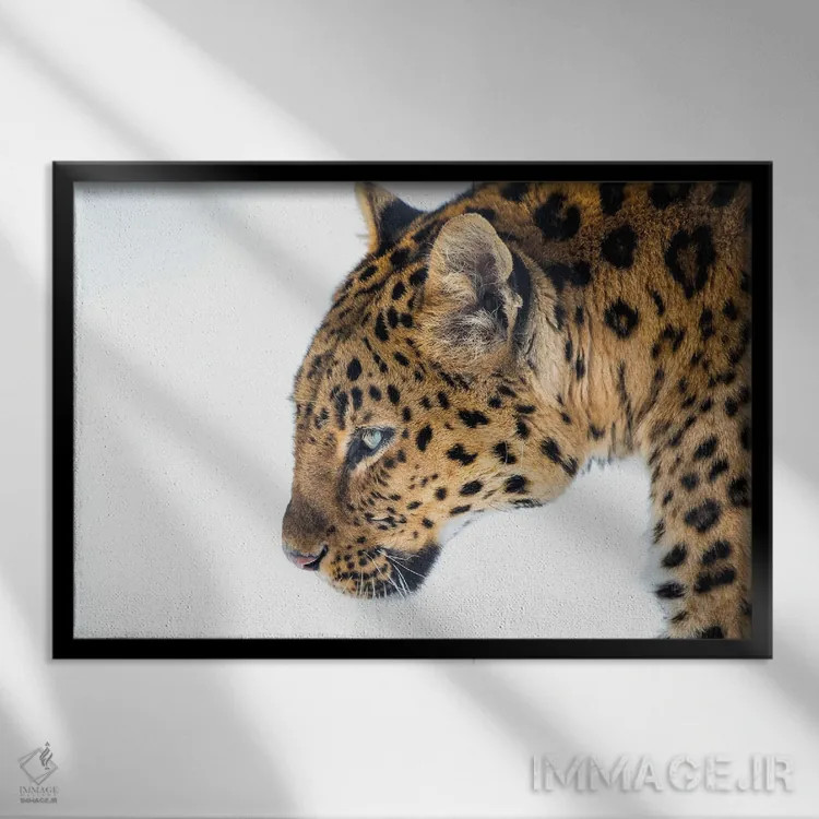 تابلو گربه بزرگ (سیاه و سفید) اثر دیوید گارباورر - نمای قابدار مشکی