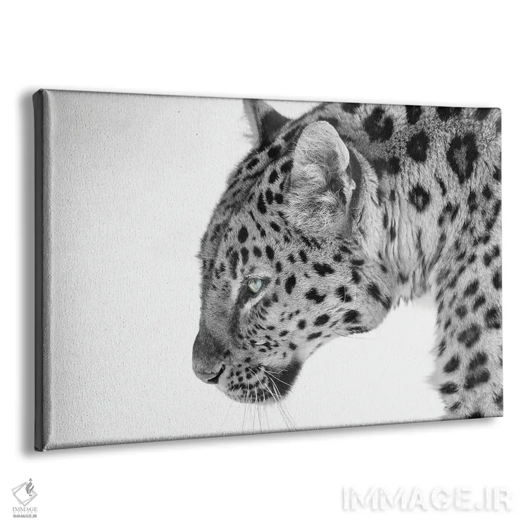 تابلو گربه بزرگ اثر دیوید گارباورر - نمای پرسپکتیو محصول