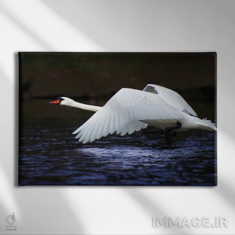 تابلو پرواز آبی اثر دیوید گارباورر - نمای روبهرو روی دیوار