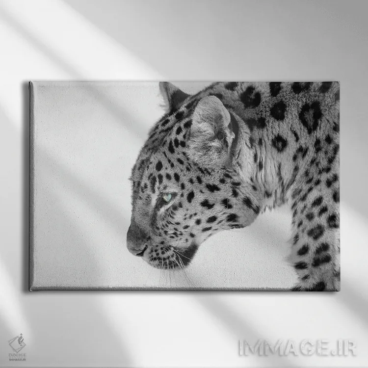 تابلو گربه بزرگ اثر دیوید گارباورر - نمای روبهرو روی دیوار