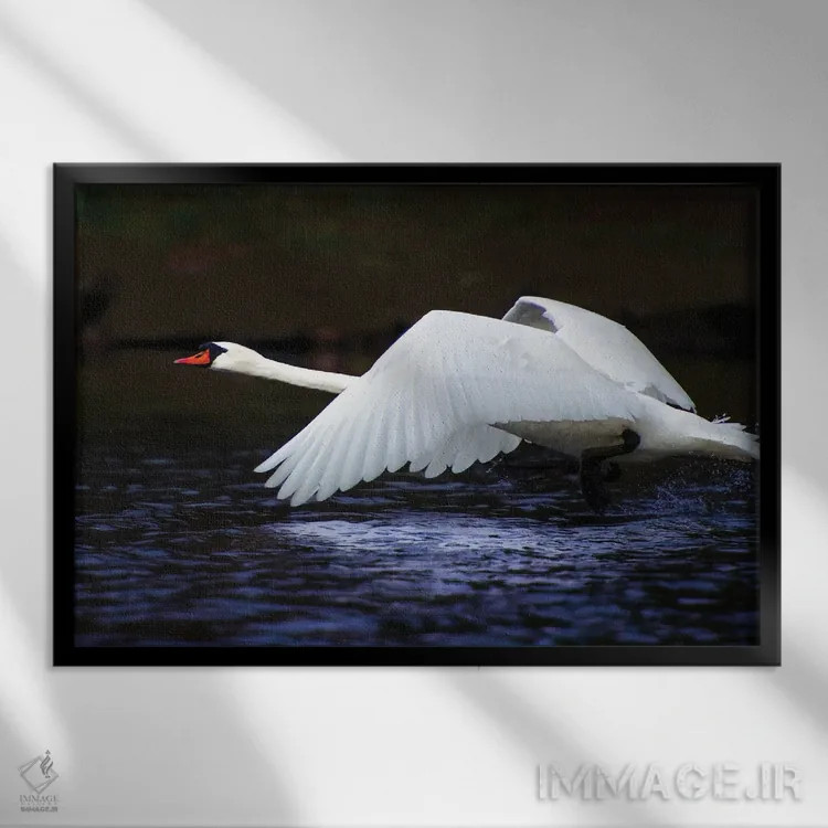 تابلو پرواز آبی اثر دیوید گارباورر - نمای قابدار مشکی