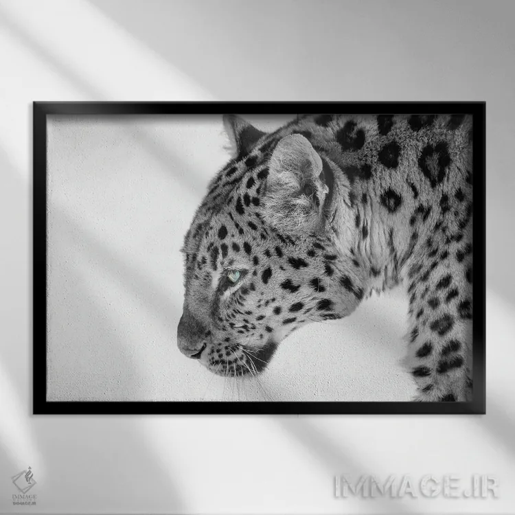 تابلو گربه بزرگ اثر دیوید گارباورر - نمای قابدار مشکی