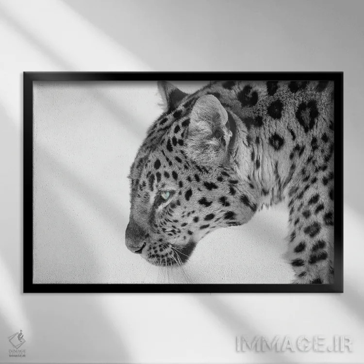 تابلو گربه بزرگ اثر دیوید گارباورر - نمای قابدار مشکی