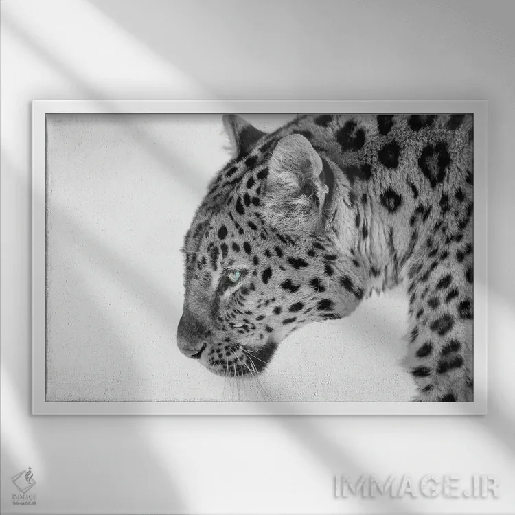 تابلو گربه بزرگ اثر دیوید گارباورر - نمای قابدار سفید