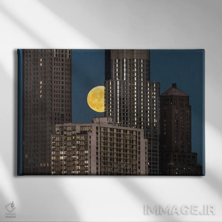 تابلو ماه زیر چشمی اثر دیوید گارباورر - نمای روبهرو روی دیوار