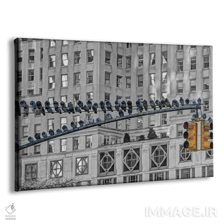 تابلو ایستگاه کبوتر اثر دیوید گارباورر - نمای پرسپکتیو محصول