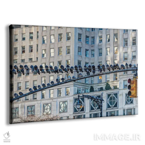 تابلو ایستگاه کبوتر ۳ اثر دیوید گارباورر - نمای پرسپکتیو محصول