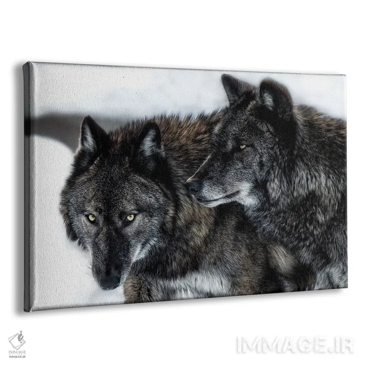 تابلو برادران اثر دیوید گارباورر - نمای پرسپکتیو محصول