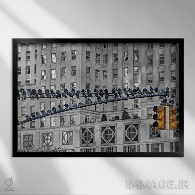 تابلو ایستگاه کبوتر اثر دیوید گارباورر - نمای قابدار مشکی