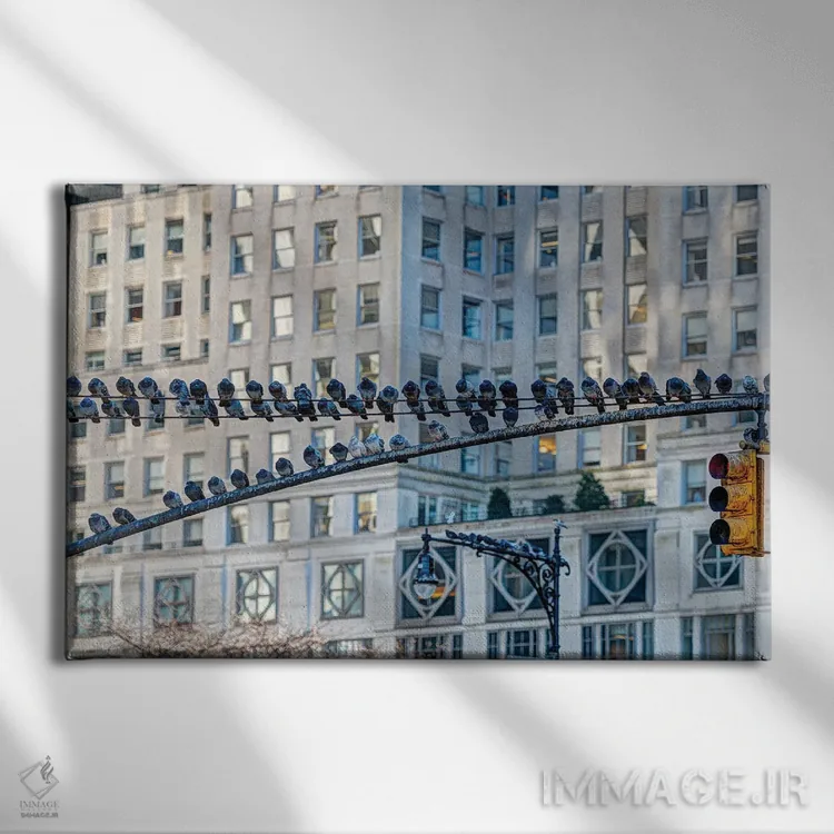 تابلو ایستگاه کبوتر ۳ اثر دیوید گارباورر - نمای روبهرو روی دیوار