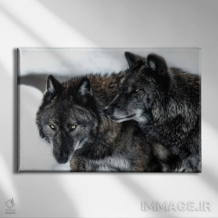 تابلو برادران اثر دیوید گارباورر - نمای روبهرو روی دیوار