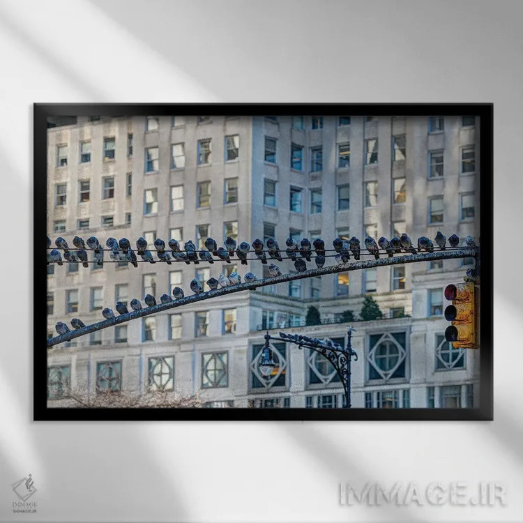 تابلو ایستگاه کبوتر ۳ اثر دیوید گارباورر - نمای قابدار مشکی