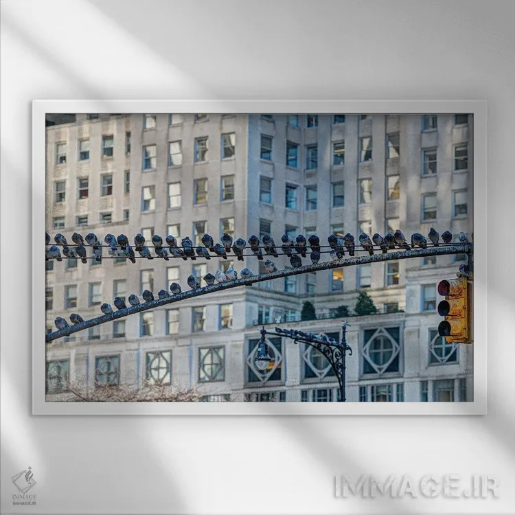 تابلو ایستگاه کبوتر ۳ اثر دیوید گارباورر - نمای قابدار سفید