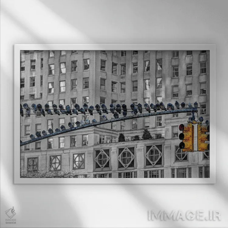 تابلو ایستگاه کبوتر اثر دیوید گارباورر - نمای قابدار سفید