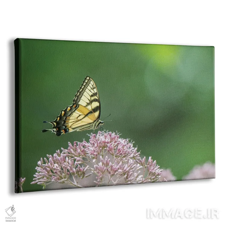 تابلو ظرافت اثر دیوید گارباورر - نمای پرسپکتیو محصول